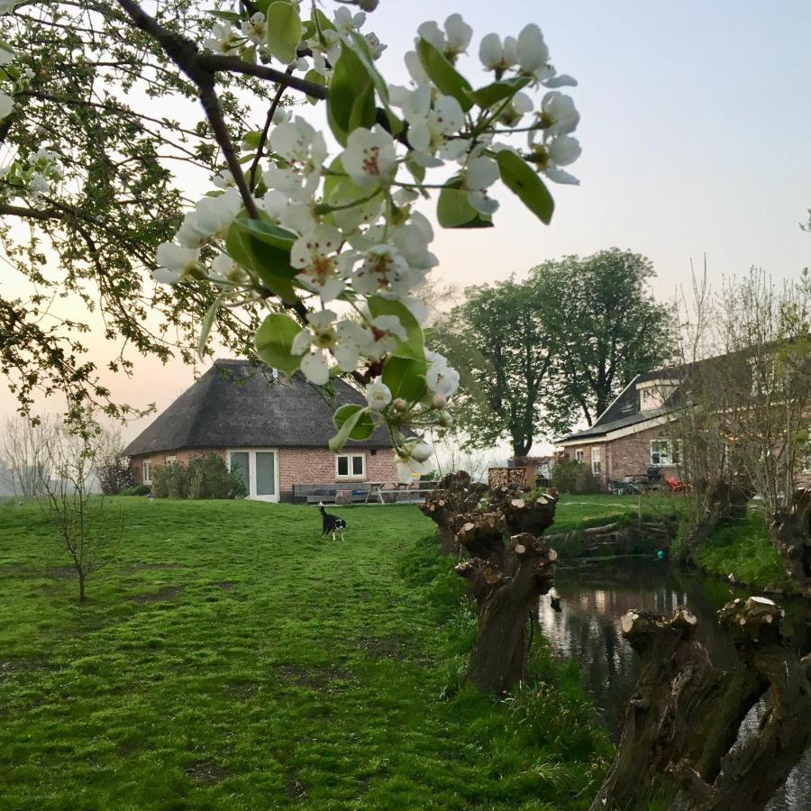 Groeten Uit Hoogmade - Rural Cottage Exterior foto